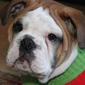 Karin Westlake's photo