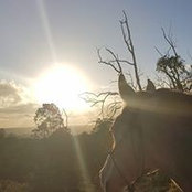 Clare Brodie's photo