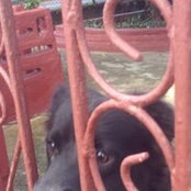 Kai Reborn's photo