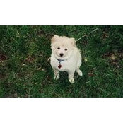 Eddie Hahn's photo