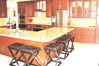 Kitchen - contemporary kitchen idea in Miami