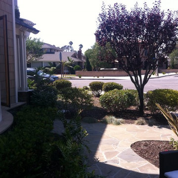 Residence - Front yard looking West Before