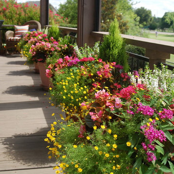 Container Gardening