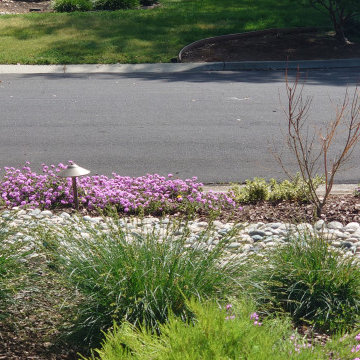 DESIGN TO COMPLIMENT MAPLE TREES