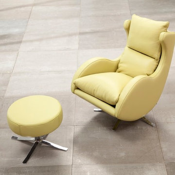 Lenny Modern Lounge Accent Chair by Famaliving California