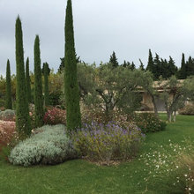 jardin