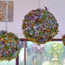 green interiors