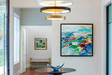 Entryway - modern entryway idea in Miami