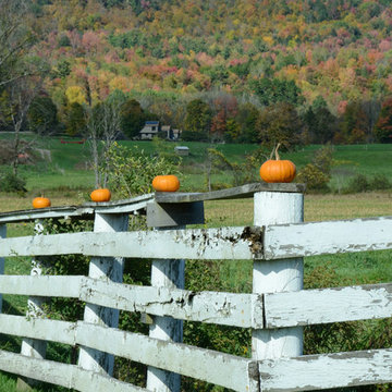 Fall Foliage Tour: Leaf-Peeping Fun Through Vermont