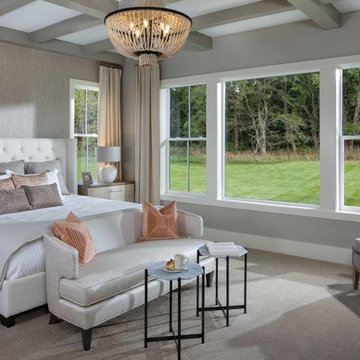 Transitional Bedroom