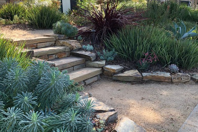 Design ideas for a mediterranean landscaping in Los Angeles.