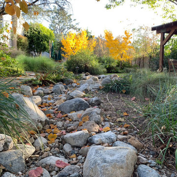 California Craftsman Forest - 5 Years Later