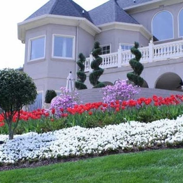 Our Work