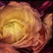 Helen Egger's photo