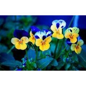 Kathy M Dunn's photo