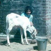 Kavita Dixit's photo