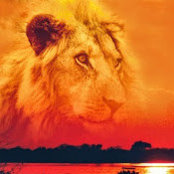 Anand srivastava's photo