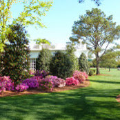 kelly kisting's photo