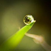 Strop Deroua's photo