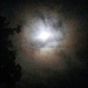 Stephanie Bouillon's photo