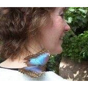 Kathy Brittain's photo