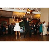 Tom Harwood's photo