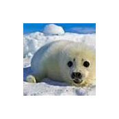 Cynthia Larson's photo