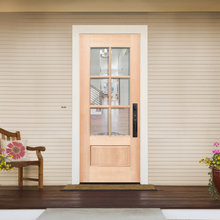 Lite door