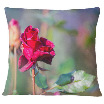 Red Rose On Blurred Background Flower Throw Pillow, 16"x16"