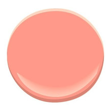 Paint color