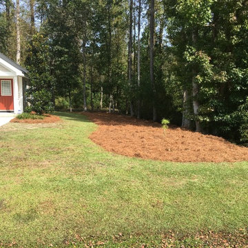 Pine Straw Spreading