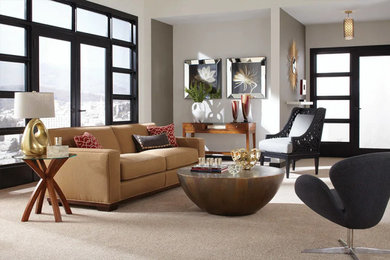 Example of a living room design in Phoenix