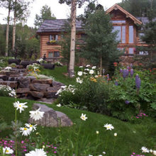 pond/river