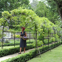 Garden ideas