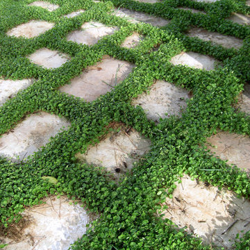 Giardino Inglese in Salento