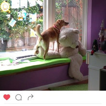 Madalyn's bedroom