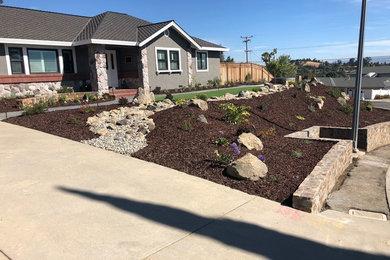Design ideas for a modern landscaping in San Francisco.