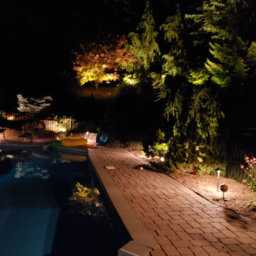A Complete Outdoor Lighting Paradise