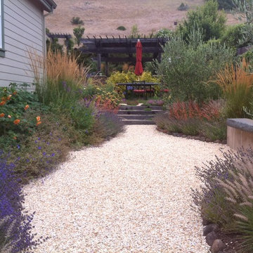 Colorful Drought Tolerant Garden