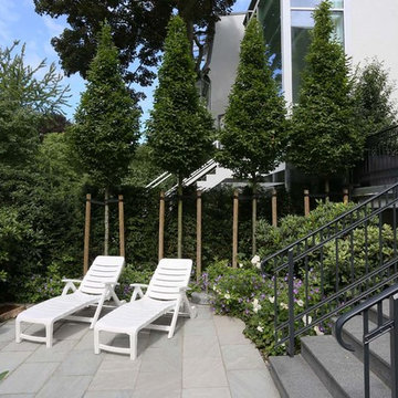 Stadtgarten