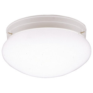 Flush Mount 1 Light Transitional Flush Mount Ceiling Lighting By Lighting Front