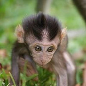 Foto de Bing Hong
