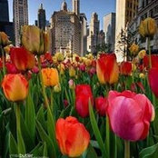 Christie Donaker's photo
