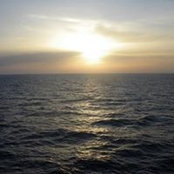 Amine Bel's photo