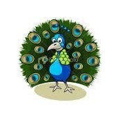 Tracy Breau's photo
