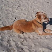 Nancy Covey's photo