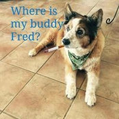 Fred-Eric Bouquin's photo