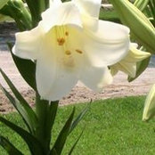 Velda Poston's photo