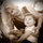 Nancy Hanson_Warner