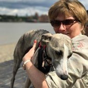 Bronwen Truscott's photo